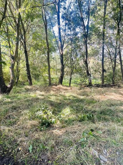 Teren de 5000 mp, în Valea Părului