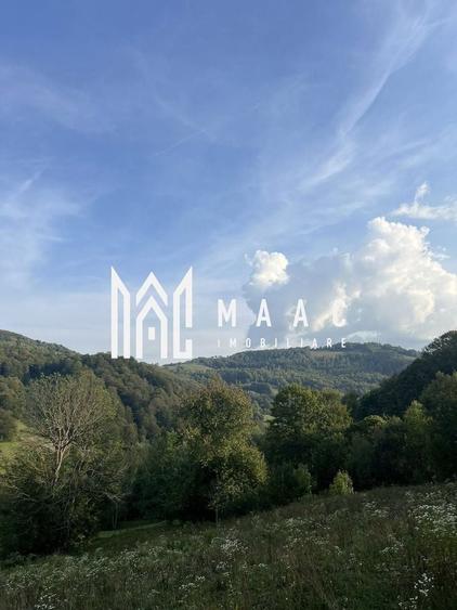 Teren Construcții intravilan de 14242 mp, în Sohodol