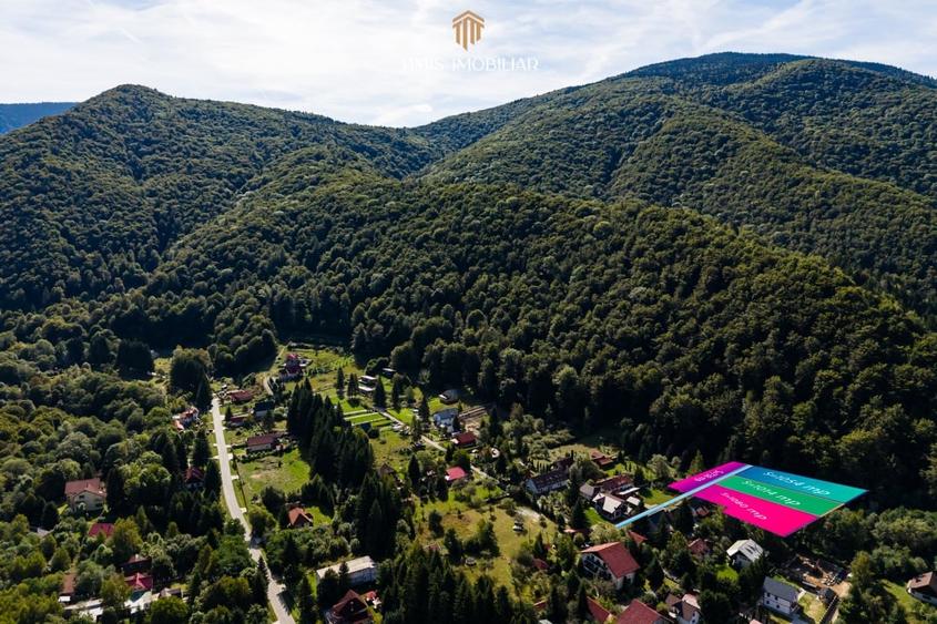 Teren agricol intravilan de 738 mp, în Poiana Mărului