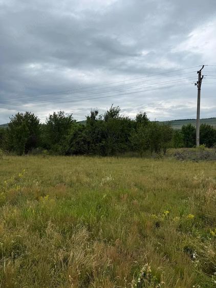Teren de 13792 mp, în Luna