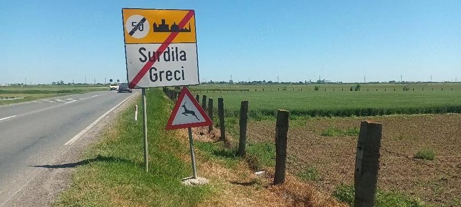Teren de 16600 mp, în Surdila-Greci