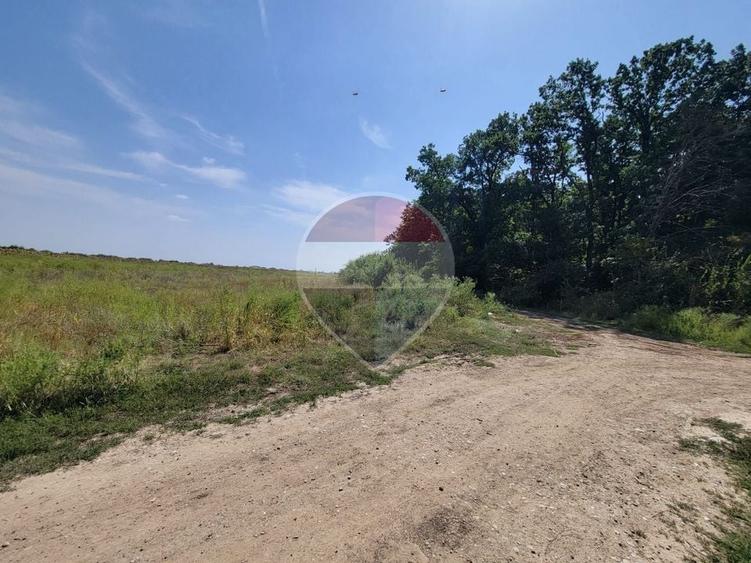 Teren Construcții intravilan de 988 mp, în Cocani