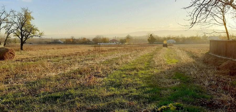 Teren de 2950 mp, în Vârfu Câmpului