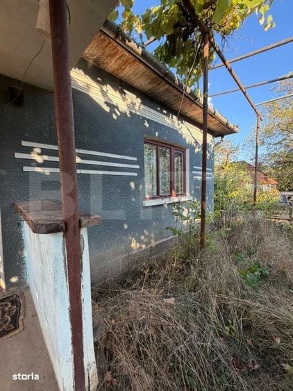 Casă cu 3 camere în Vinerea