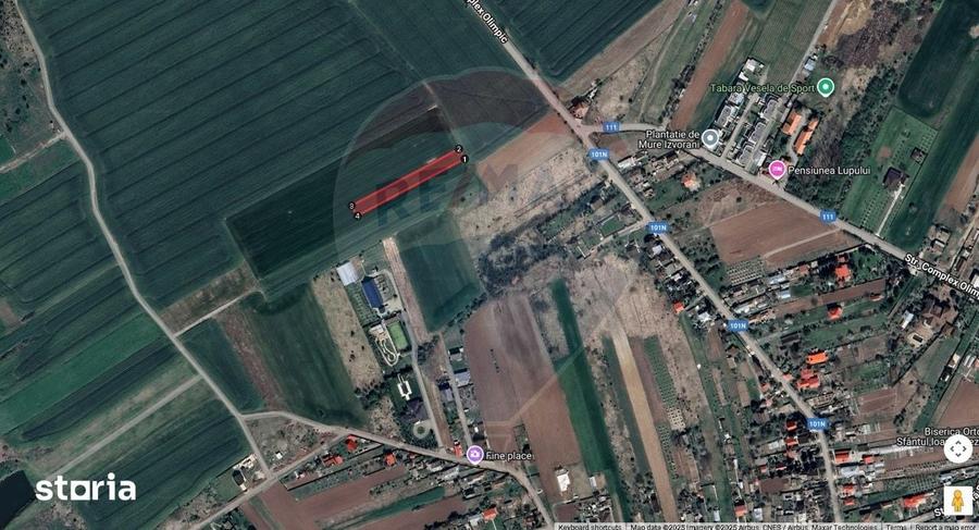 Oportunitate Izvorani (IF) 1.858 mp langa Padurea Snagov. Acces Rapid! - 4