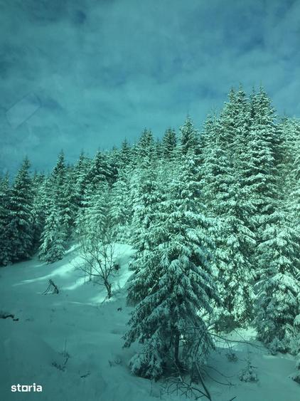 Teren de 1000 mp, în Măguri