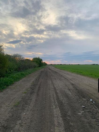 Teren Construcții intravilan de 30000 mp, în Ștefăneștii de Jos