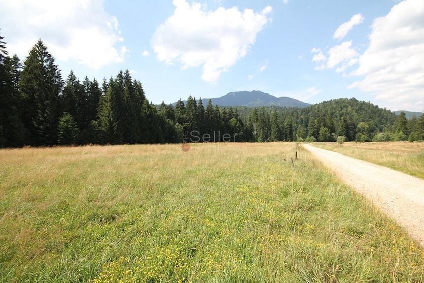Teren Construcții intravilan de 8823 mp, în Exterior Nord