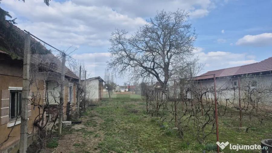 Teren intravilan de vanzare, 1399 mp, in localitatea Micula - 10