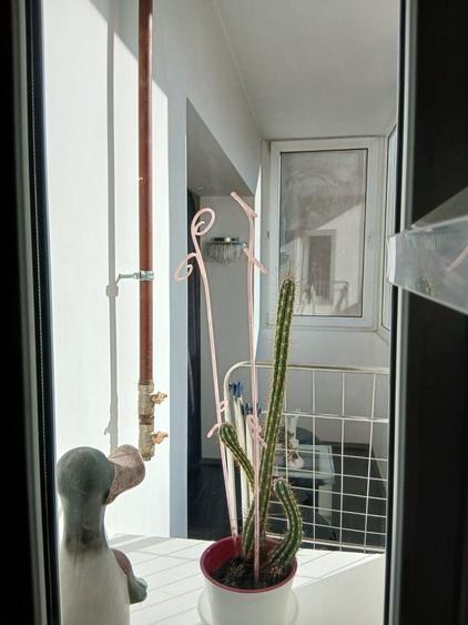 Apartament cu 3 camere decomandat, mobilat în Gorjului