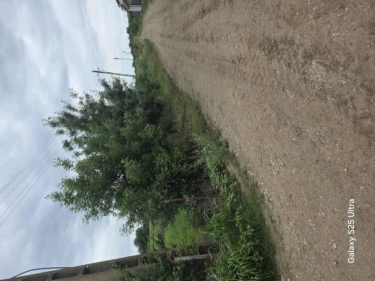 Teren de 3400 mp, în Copăceanca