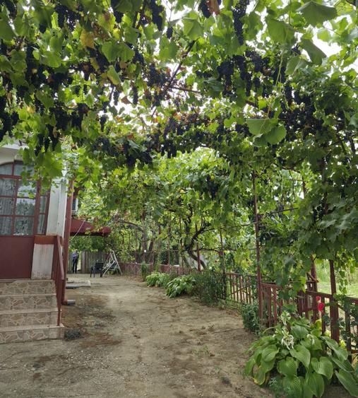 Casă cu 3 camere în Popoveni