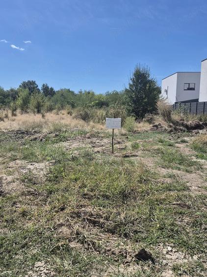 Teren de 3234 mp, în Albota
