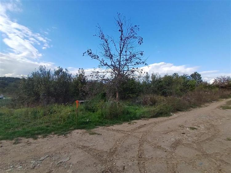 Teren Construcții intravilan de 2819 mp, în Calea Caransebeșului