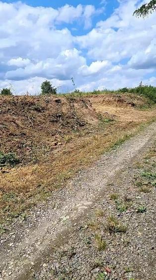 Teren de 1194 mp, în Viile Satu Mare