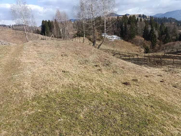 Teren de 3200 mp, în Dâmbovicioara