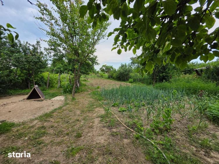Casă cu 3 camere cu Teren 1260 Mp în Central