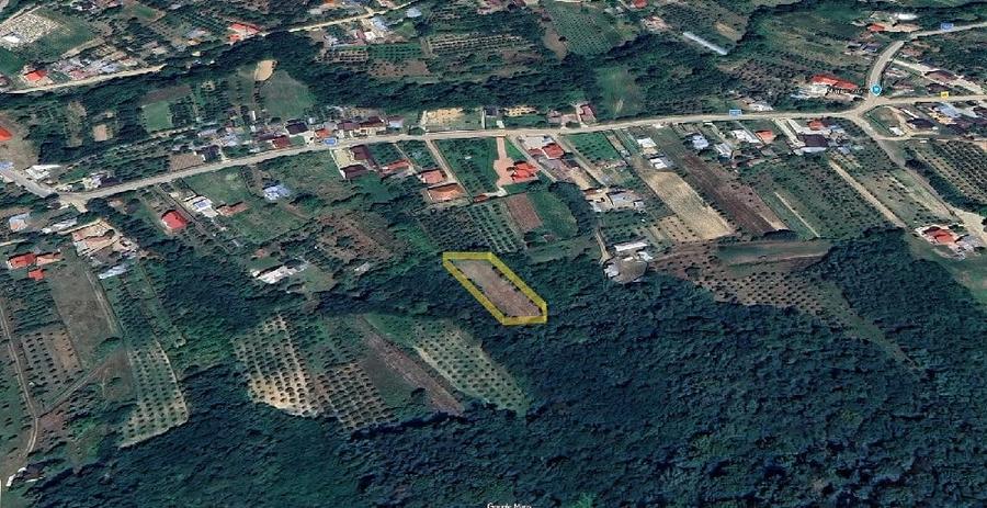 Teren de 1300 mp, în Bogați