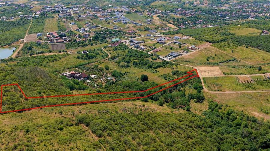 Teren Construcții intravilan de 10391 mp, în Săldăbagiu de Munte