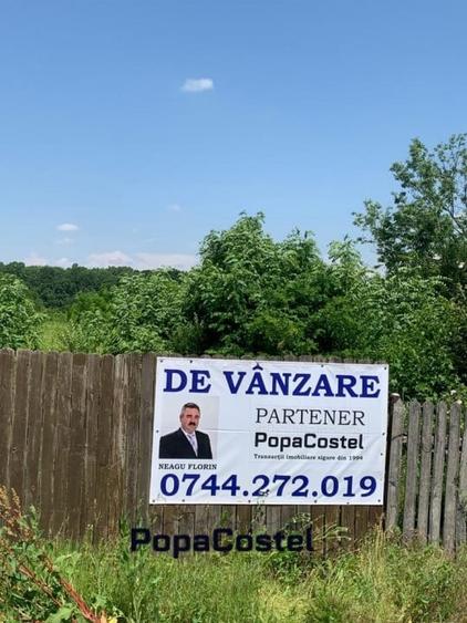 Teren Construcții de 15000 mp, în Mereni (Conțești)