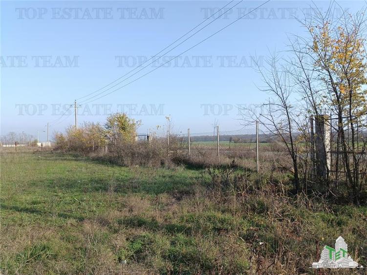 Teren agricol intravilan de 8050 mp, în Gruiu