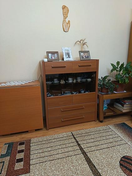 Apartament cu 2 camere nedecomandat în Central
