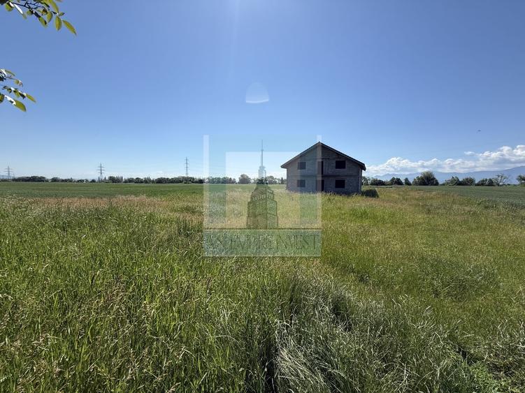 Teren Construcții intravilan de 50000 mp, în Hălchiu