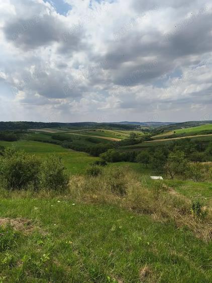 Teren în Tășad