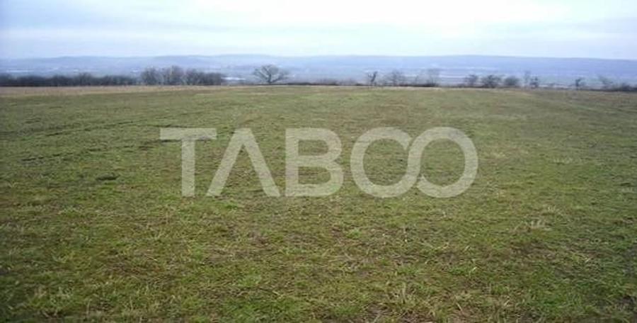 Teren de 3000 mp, în Paltin
