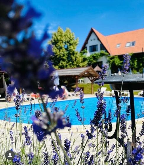 Casă individuală cu 4 camere cu Canalizare în Paleu