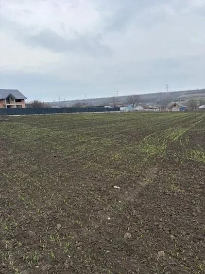 Teren de 2000 mp, în Negrea