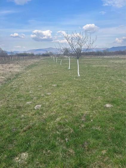 Casă cu Teren 1500 Mp în Tur