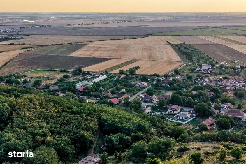 Teren de 1150 mp, în Miniș