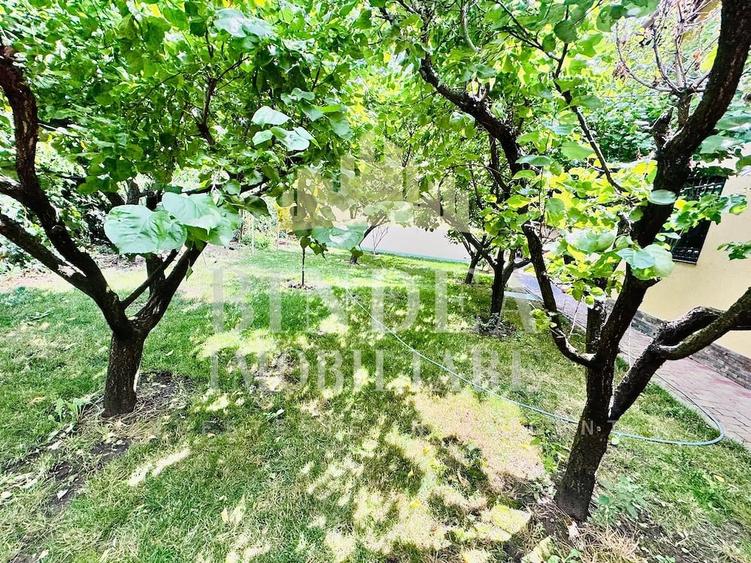 Casă cu 3 camere cu Teren 1491 Mp în Pișchia