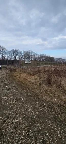 Teren de 525 mp, în Stupini