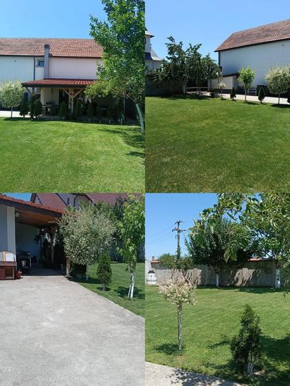 Casă cu 4 camere în Șimian