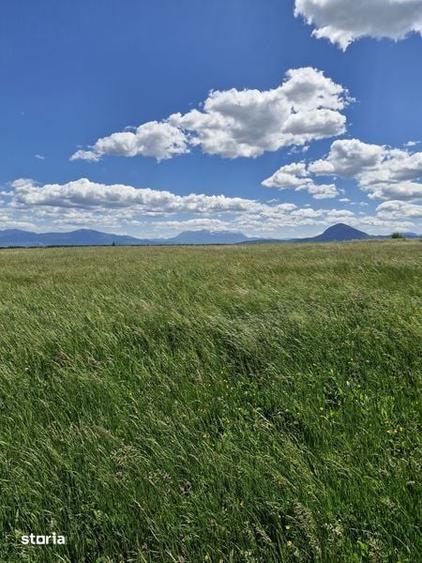 Teren de 14900 mp, în Crizbav