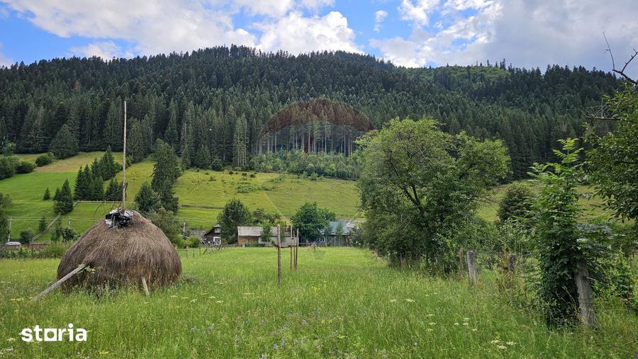 Teren de 4822 mp, în Sadova