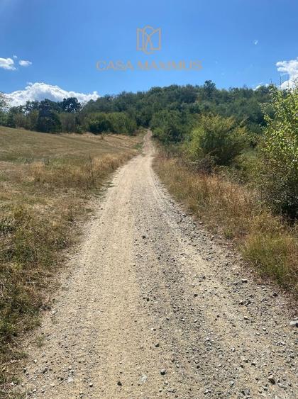 Teren Construcții extravilan de 1600 mp, în Cisnădioara