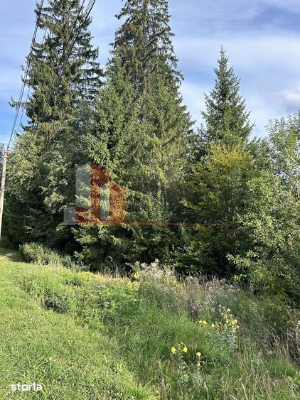 Teren de 8267 mp, în Predeal