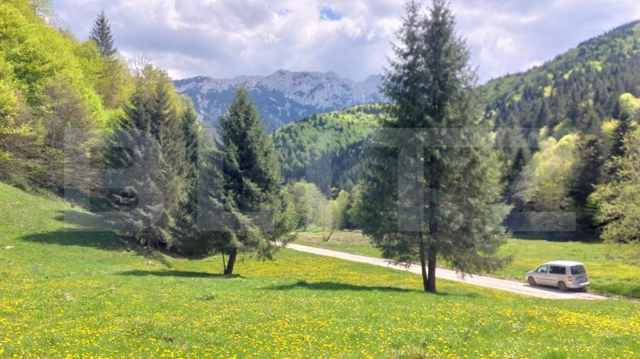 Teren exceptional de vanzare, 5170 mp  zona Plaiul Foii, Zarnesti - 4