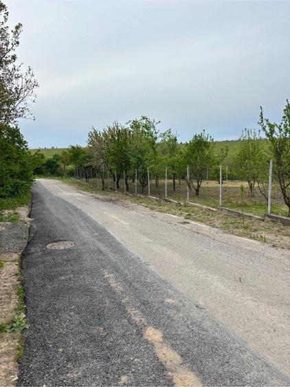 Teren de 570 mp, în Petrăchioaia