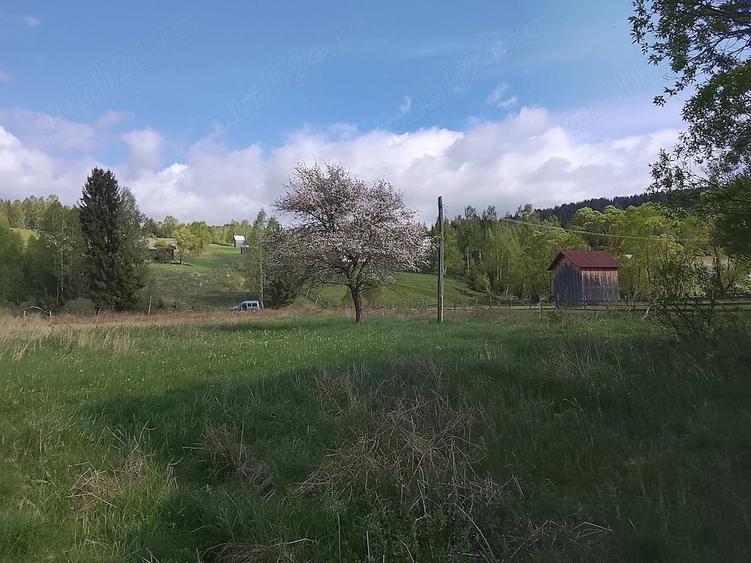 Teren de 5000 mp, în Dorna-Arini