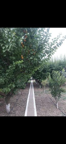 Casă cu 4 camere în Exterior Vest
