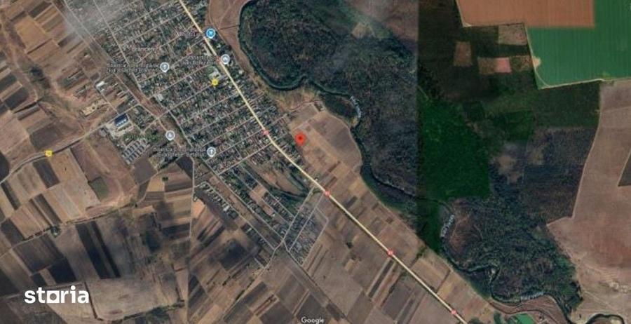 Teren de 613 mp, în Brânceni