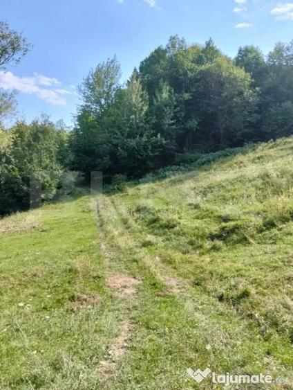 Teren în Poiana Ampoiului