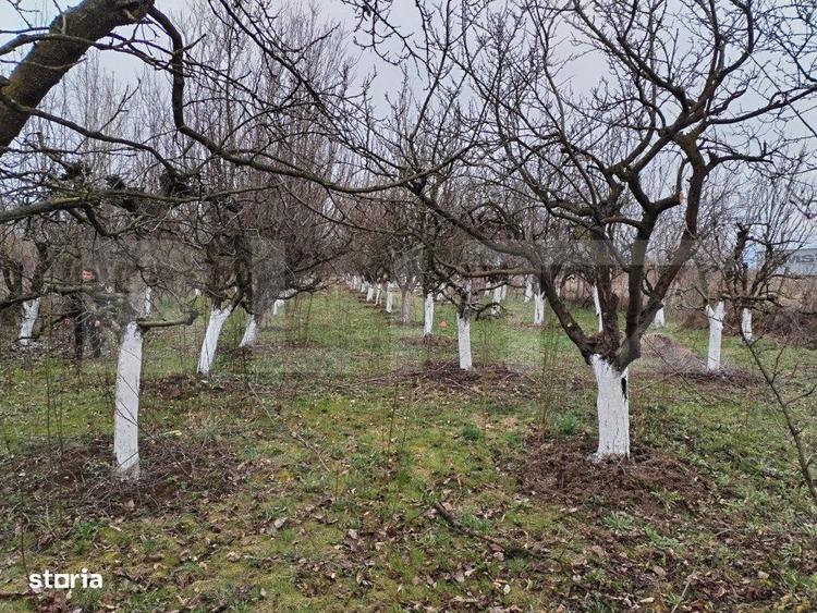 Teren de vanzare, 9000 mp, Zona Aurel Vlaicu - 5