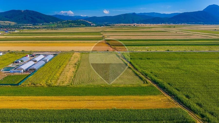 Teren Construcții intravilan de 7500 mp, în Tărlungeni