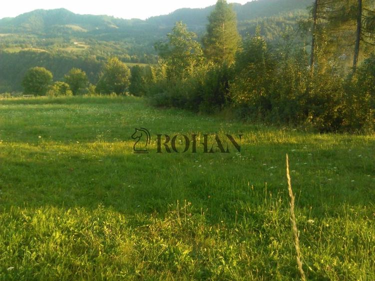 Teren intravilan de 5360 mp, în Tiha Bârgăului