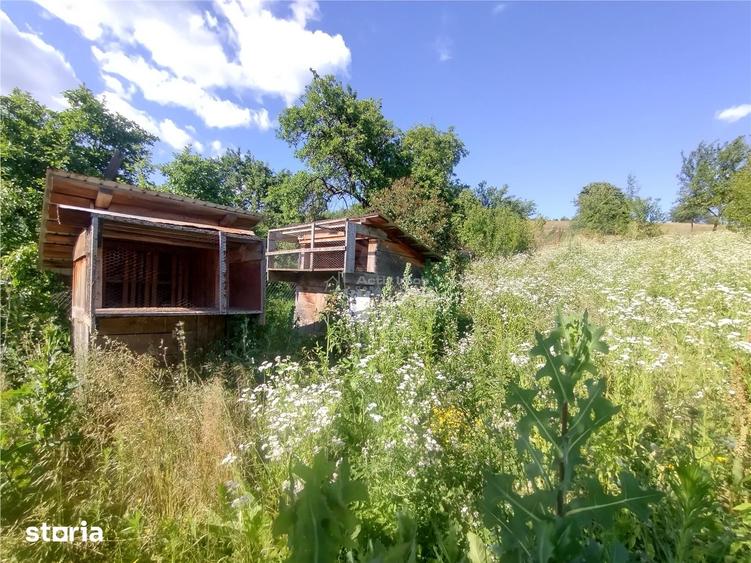 Casă cu 3 camere cu Teren 575 Mp în Central